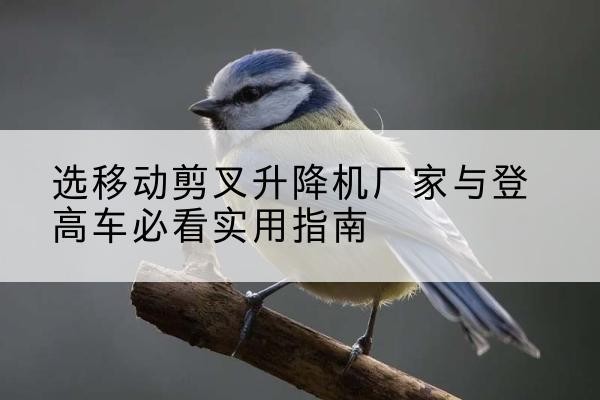 得荣电动升降机厂家-选移动剪叉升降机厂家与登高车必看实用指南