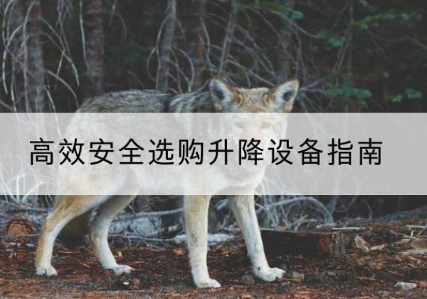 得荣升降货梯厂家推荐-*安全选购升降设备指南