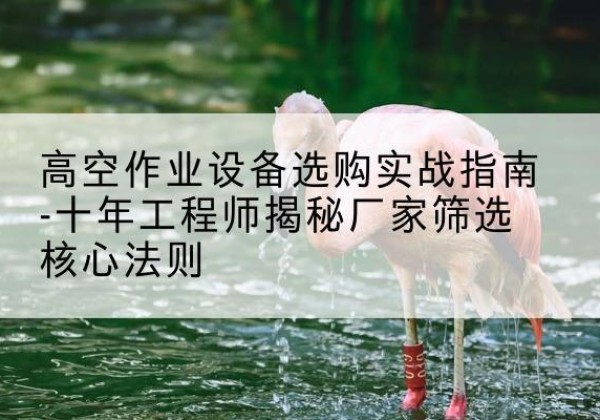得荣剪叉式升降机厂家-高空作业设备选购实战指南-十年工程师揭秘厂家筛选核心法则